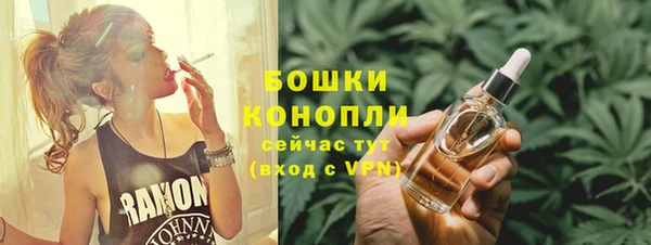 шишки Арсеньев
