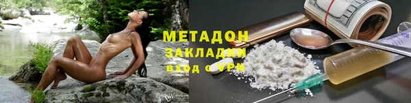 шишки Арсеньев