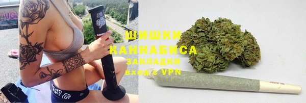 шишки Арсеньев