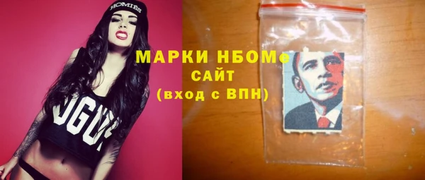 шишки Арсеньев