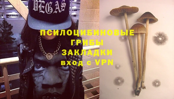 шишки Арсеньев