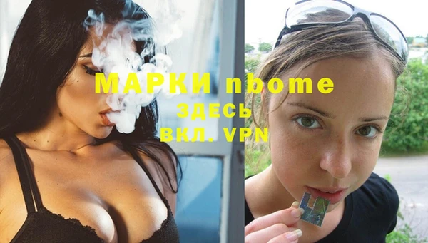 шишки Арсеньев